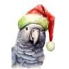 Animales Navideños🎄💞1🇵🇪Clásica 19