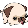 Kawaii Pug 🐶 15