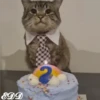 🎄Gatitos 3 😺 12