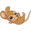 Animalitos Tiernos ✺7🇻🇪 14