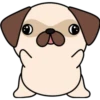 Kawaii Pug 🐶 16