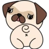 Kawaii Pug 🐶 18