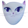 Cats by @my_unrefined 15