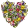 Florecitas Cute🌺💞1🇵🇪Clásica 15
