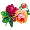 🌹🏵•MiXeD FlOwErS•💐🌸 14