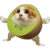 Cat food 9