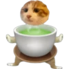 Cat food 10