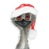 Animales Navideños🎄💞1🇵🇪Clásica 20