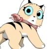 Gatitos💞9🇵🇪Clásica 19