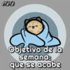 🐱Miausitos🐱 17