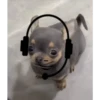 🐕 Perritos chambeadores 2 🐕 24