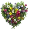 Florecitas Cute🌺💞1🇵🇪Clásica 17