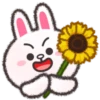 Brown & F. Flower 1💖C☆ 10