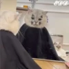 🎄Gatitos 3 😺 17