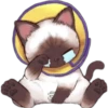 🐈 Variados🇨🇴🇲🇽Clásica 23