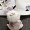 ᨳ◞ cats; 🐾 -> @wexsavi ꒱ 20