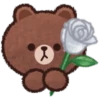 Brown & F. Flower 1💖C☆ 12
