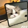 🎄Gatitos 3 😺 18