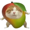 Cat food 12