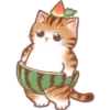 🐈G y S💞Michis🇨🇴🇲🇽Clásica 18