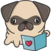 Kawaii Pug 🐶 19
