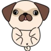 Kawaii Pug 🐶 20