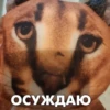 ОСУЖДАЮ