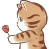 🐈 Variados🇨🇴🇲🇽Clásica 26