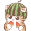 🐈G y S💞Michis🇨🇴🇲🇽Clásica 21