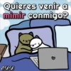 🐱Miausitos🐱 22