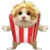 Cat food 13