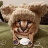Стикеры 👉 @EmojiKolStickersBot 18