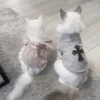 ᨳ◞ cats; 🐾 -> @wexsavi ꒱ 24