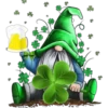 San Patrick's Day ✺1🇻🇪 24