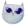 Cats by @my_unrefined 17