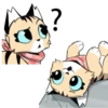 Gatitos💞9🇵🇪Clásica 24