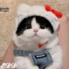 🎄Gatitos 3 😺 21
