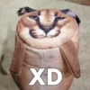 XD