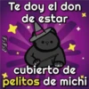🐱Miausitos🐱 23