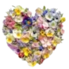 Florecitas Cute🌺💞1🇵🇪Clásica 20