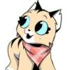 Gatitos💞9🇵🇪Clásica 25