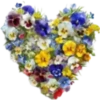 Florecitas Cute🌺💞1🇵🇪Clásica 22