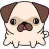 Kawaii Pug 🐶 25