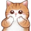 🐈 Variados🇨🇴🇲🇽Clásica 28