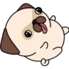 Kawaii Pug 🐶 26