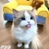 🎄Gatitos 3 😺 22