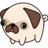 Kawaii Pug 🐶 28