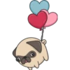 Kawaii Pug 🐶 29