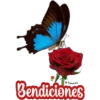 Bendiciones 2 🙏 🇲🇽 26