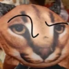 Стикеры 👉 @EmojiKolStickersBot 21